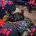 Kellie MacDonald - Facebook