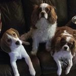 kellie mackey - @kelliemackey2010 - Instagram