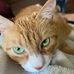 Kelly Magee - Facebook