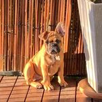 Kellie Mcleod - @kell_jet - Instagram