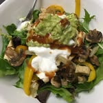 Kelly Menefee - @kellyhealthy2022 - Instagram