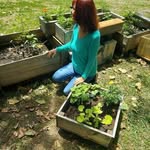 Kelly Morrow - @kellymorrowcoach - Instagram