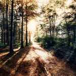 Kelli Moyer - @kellimoyercup74620 - Instagram