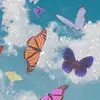 Kellie Nicholson - @kellienicholson04 - TikTok