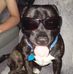 Kellie Noble - Facebook