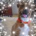 Kellie D Parks - Facebook