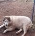 Kellie Payne - Facebook