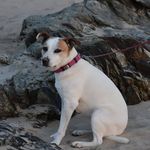Kellie Payne - @kellie.payne.69 - Instagram