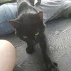 Kellie Pennington - @kellie.pennington6 - TikTok