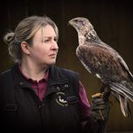 Kellie Piper - @falconerpiper - Instagram