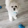 Kellie Potts415 - @kpotts007 - TikTok