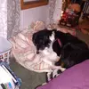 Kelly Pryor - @kelly.pryor5 - TikTok