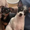 Kelly Pyle - @kelly.pyle - TikTok