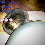 Kellie ramirez - @i_love_my_dude_ - Instagram