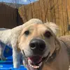 kelliereeves - @kdeereeves - TikTok