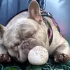 kelli reno - @kellireno - TikTok