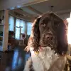 kellierickson6 - @kellierickson6 - TikTok