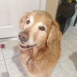 Kelly Robichaud - @krobichaud66 - Instagram