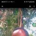 Queli Rock - Facebook