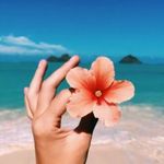 Kellie - @kellie.rodgers - Instagram