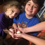 Kellie Roy - @kelliesholistichealing - Instagram