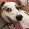 Kellie Roy - @krb0225 - TikTok
