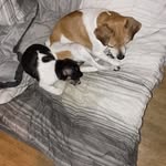 Kellie Russell - @kellierussell75 - Instagram
