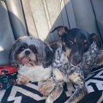 Kellie Schaefer - @blueize77 - Instagram