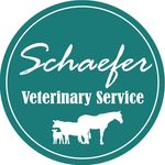 Kelly Schaefer - @schaefervetservice - Instagram