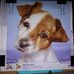 Kellie Schoonover - Facebook