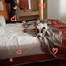 Kellie Schoonover - Facebook