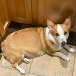Kellie Self - @kself311 - Instagram