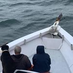 Kellie Borysewicz - @kellie.shaffer.50 - Instagram