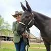 Gunnys Mule Mom - @kellieshields - TikTok