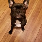 Kellie Shields Devers - Facebook