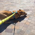 Kelly Shields - Facebook