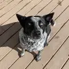 kellie - @kelliesilva7 - TikTok