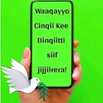 Obsaa Obsiyyee Caalaa - Facebook