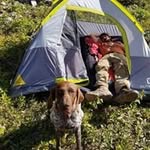 Kelly Slade - @kelly.slade.1694 - Instagram