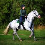 Kellie Smith ❤️ - @kellies_equestrian - Instagram