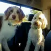 Kellie Meyer Spivey - @kellie.meyer.spiv - TikTok