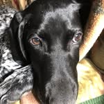 Kelly Spivey - @kelspives - Instagram