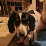 Kellie Staples - @ke.llie7301 - Instagram