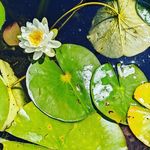 Kellie Stidham Winder - @kellie.winder - Instagram