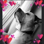 Kelly Stidham - @stidham.kelly - Instagram