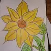 Kellie Strong - @user18396958 - TikTok