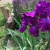 Kellie Stuart - Facebook