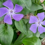 Kellie Stump Stiadle - @annapiutti - Instagram