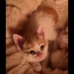 Kellie Sutton - @kelliesutton09 - Instagram