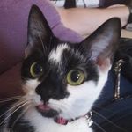 Kellie Sutton - @kellie.sutton.73 - Instagram
